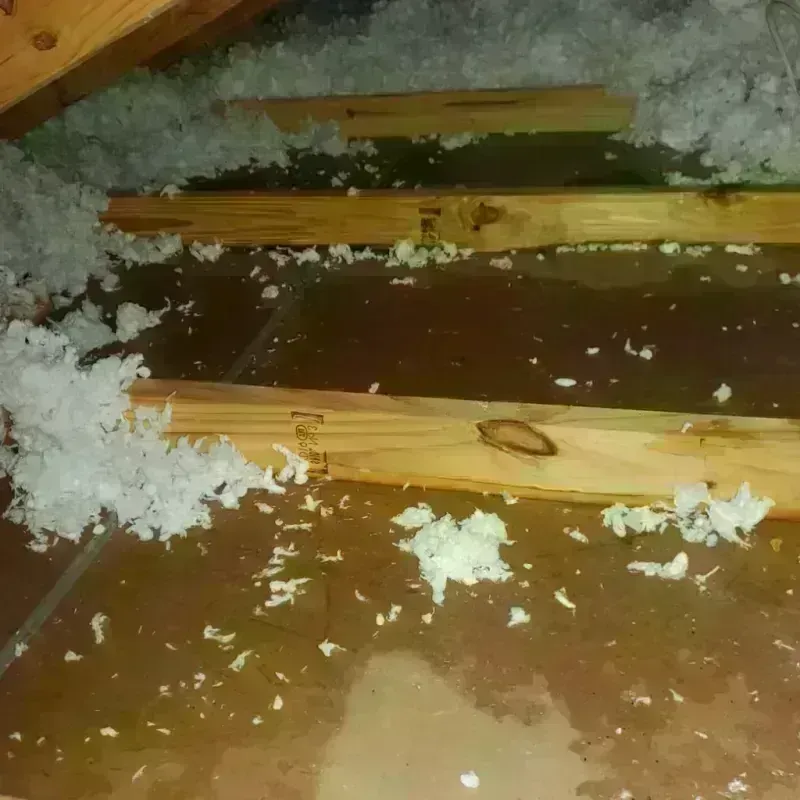 Attic Water Damage in Sheridan, IN